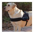 Pettorina di addestramento imbottita per cani bardatura regolabile sport guinzaglio dog harness