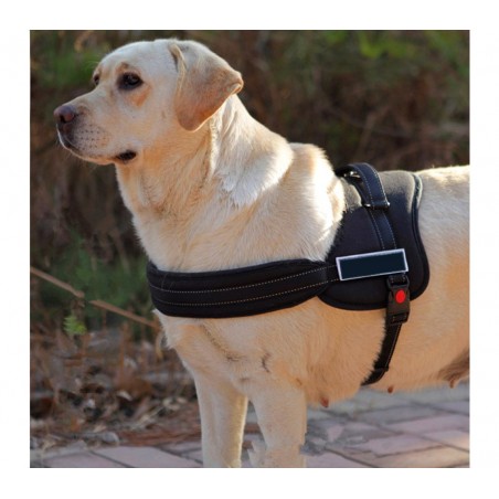 Pettorina di addestramento imbottita per cani bardatura regolabile sport guinzaglio dog harness