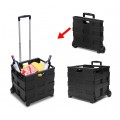 334115 Carrello trolley portaspesa pieghevole in plastica portata max 25 Kg