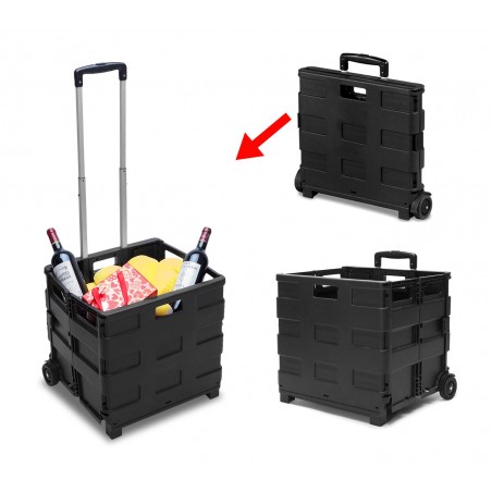 334115 Carrello trolley portaspesa pieghevole in plastica portata max 25 Kg