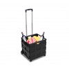 334115 Carrello trolley portaspesa pieghevole in plastica portata max 25 Kg