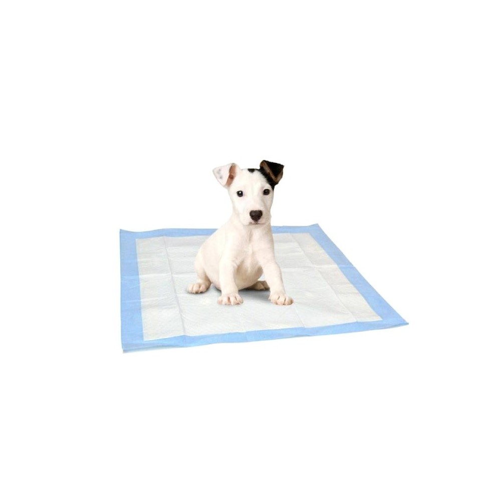 629313 Pack 12 traverse assorbenti per cani e gatti 60x60 cm odori