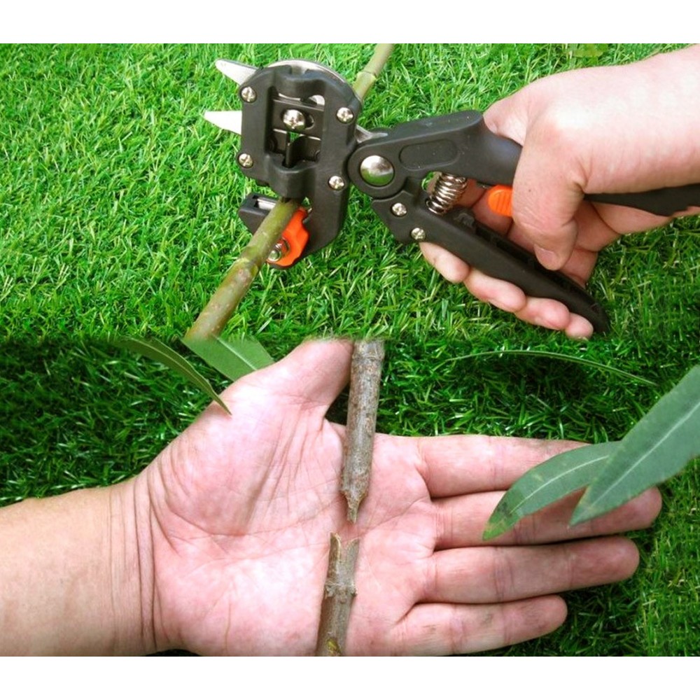 Pinza Innestatrice Universale - Con 3 Lame Intercambiabili, Per Innesti E Riparazioni Giardinaggio - Foto 6