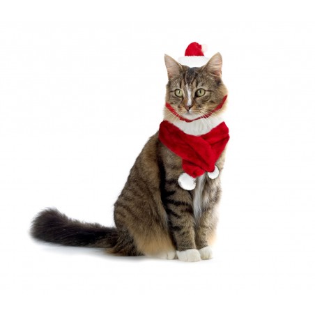 Set sciarpa e cappello BABBO NATALE 064234 per gatti e cani di piccola