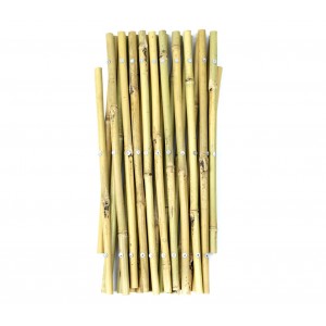 Steccato in bamboo 377505 giardino recinzione arredamento  30x240 cm