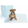 Pack 8 traversine 000166 cani 90 x 60 cm NOBLEZA tappeto assorbente PUPPY PADS