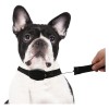 Collare LUCKY LEASH estensibile a corda 166004 per cani taglia media 145 cm