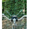HTP Parabrezza Cic Ciac 395 x 540 mm adatto per manubri da 22 a 25mm