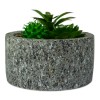 ArtFlowers Pianta grassa artificiale 425145 realistica vaso simil granito Ø16 cm