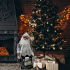 Babbo Natale champagne 80 cm 900881 decorazione con musica, luci e movimento