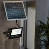 Faro 100W led fredda energia solare 011100 con crepuscolare e telecomando 6500k