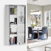 Armadietto porta medicinali con chiave acciaio inox vetro satinato 30x12x45h cm
