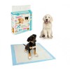 629313 Pack 12 traverse assorbenti per cani e gatti 60x60 cm cattura odori