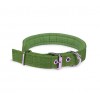 Collare in nylon con imbottitura per cani di piccola taglia con chiusura con fibbia regolabile in diversi colori