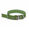 Collare in nylon mod. Phoenix con imbottitura per cani di taglia media con chiusura con fibbia regolabile in diversi colori