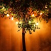 LUISA STRING LIGHT SET DI LAMPADINE CON PANNELLO SOLARE DA MODIFICARE