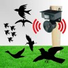 Sonic Repellente Sonoro e Visivo per Uccelli ad Energia Solare Scaccia Animali