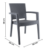 SET 2 SEDIE RATTAN CON BRACCIOLI DA MODIFICARE