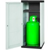 Armadio Portabombole 1 Anta in PVC 800176 Mobile Modulare 2 Mensole per Esterno
